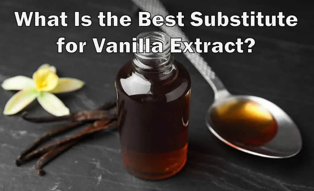 aip vanilla extract substitute