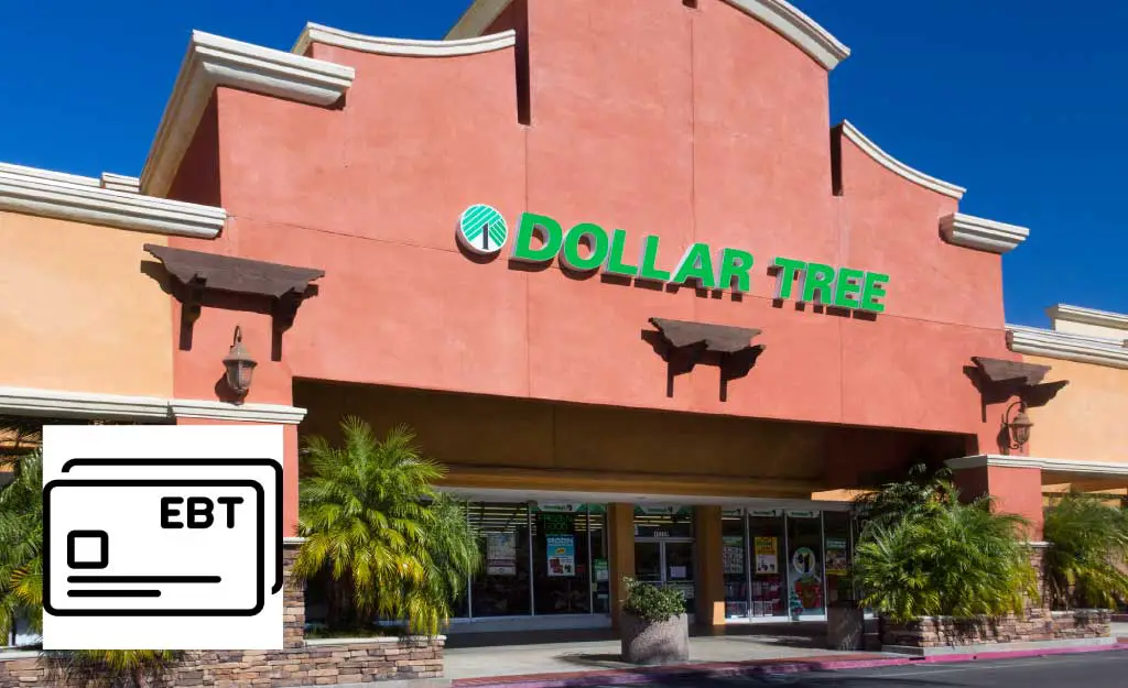 Does Dollar Tree Take EBT? (Yes, But Read This First) Grocery Store Guide