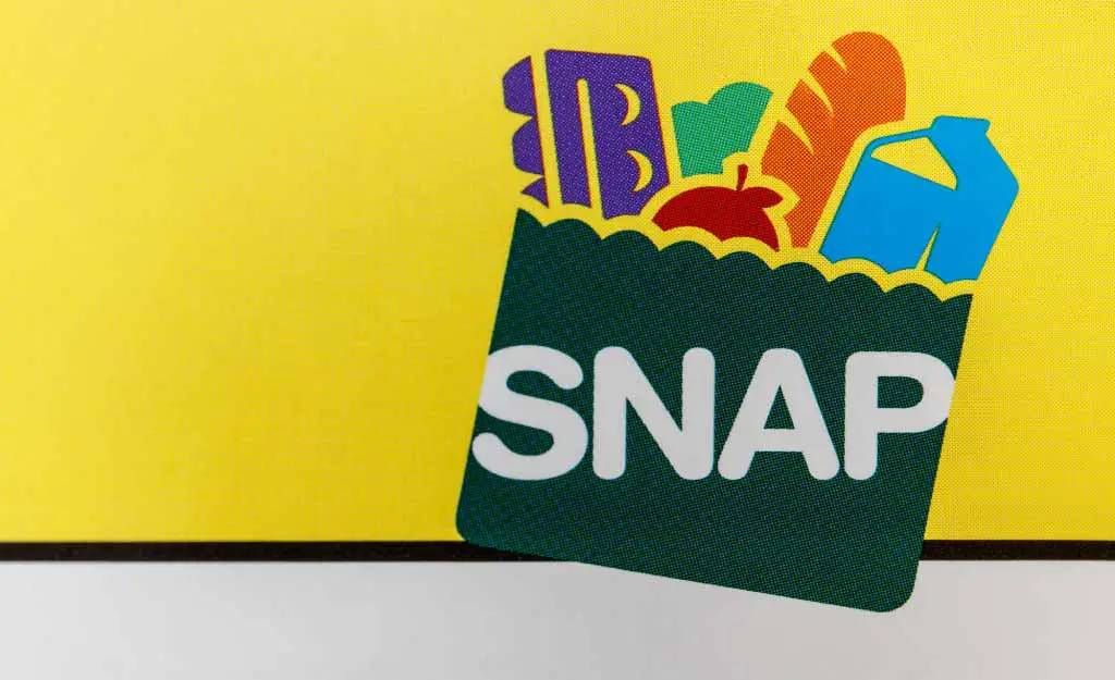 snap-food-stamps